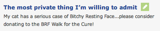 Illustration for article titled So I checked my OKC account for the first time since like,